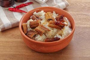 Roasred eel with steamed rice photo