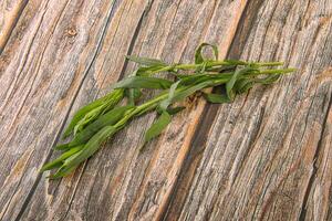 Green tarragon herb spice for cooking photo