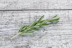 Rosemary branch - organic spicy herb photo