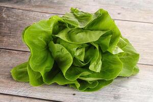 Salad leaves heap for snack photo