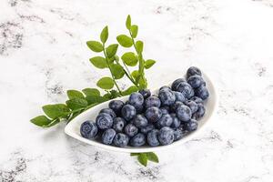 Ripe sweet blueberry in the bowl photo