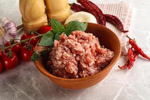 Raw minced pork uncooked meat photo