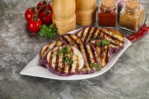 Grilled eggplant slices with cilantro photo