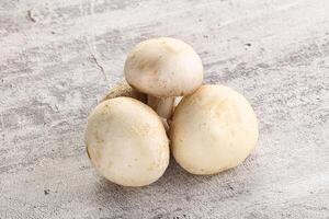 Natural organic ripe champignon mushrooms photo