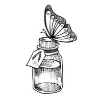 Bottle with butterfly. Hand drawn vector illustration of glass flacon with liquid aromatic essential oil painted by black inks. Monochrome drawing of vintage flagon with for medicine or spa design