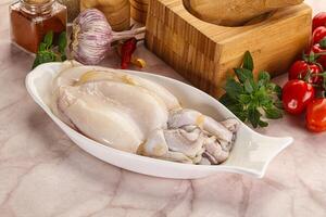 Raw fresh cuttlefish for cooking photo