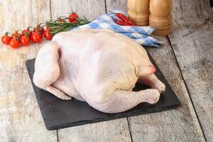 Whole raw chicken for cooking photo