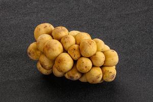 Tropical exotic sweet and juicy Longan photo