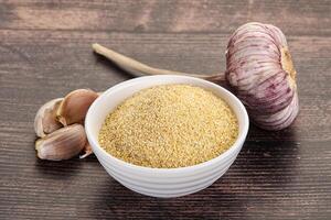 Dry granulated garlic aroma seasoning photo