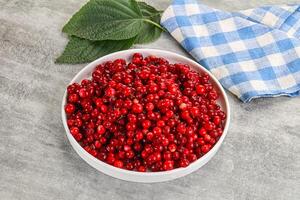 Ripe sweet wild organic cowberry photo