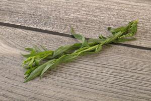 Green tarragon herb spice for cooking photo