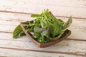 Green mix salad in the bowl photo