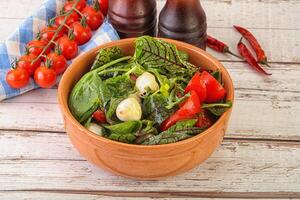 Mix salad with mozzarella and tomato photo