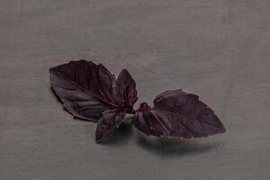 Purple raw organic basil leaves photo