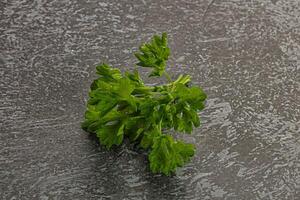 Green parsley leaves heap isolated photo