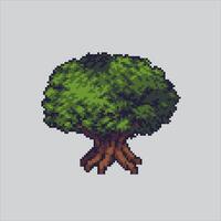 píxel Arte ilustración árbol bosque. pixelado árbol. árbol bosque selva. pixelado para el píxel Arte juego y icono para sitio web y vídeo juego. antiguo colegio retro vector