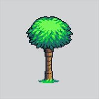 píxel Arte ilustración árbol bosque. pixelado árbol. árbol bosque selva. pixelado para el píxel Arte juego y icono para sitio web y vídeo juego. antiguo colegio retro vector