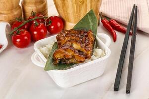 Grilled eel with steamed rice photo