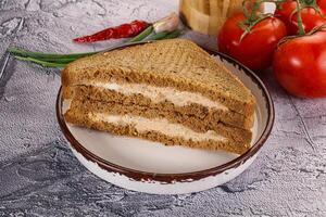 Club sandwich with Tuna fish photo