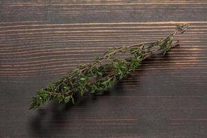 Thyme - aromatic seasoning herbal plant photo