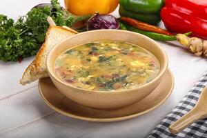 Dietary chicken soup with egg photo