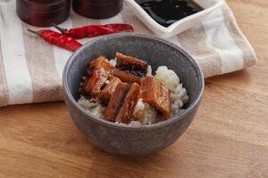 Roasred eel with steamed rice photo