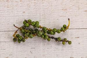 Green pepper corn heap isolated photo