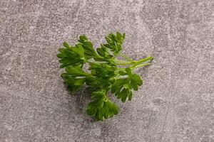 Green parsley leaves heap isolated photo