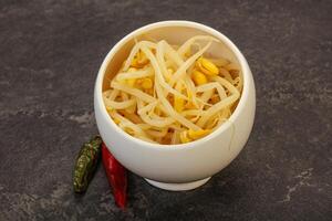 Soy sprout heap in the bowl photo