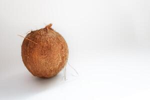 Coconut isolated on white Background. Clipping Path photo