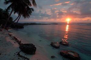 ai generado hermosa tropical puesta de sol en Oceano playa profesional fotografía foto