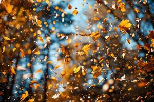 AI generated petal flowers confetti falling from a bright blue sky on an autumn or spring professional photography photo