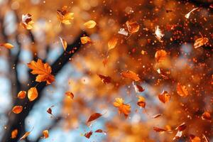 ai generado pétalo flores papel picado que cae desde un brillante azul cielo en un otoño o primavera profesional fotografía foto