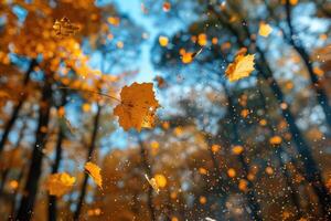 ai generado pétalo flores papel picado que cae desde un brillante azul cielo en un otoño o primavera profesional fotografía foto