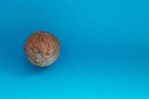 Coconut isolated on blue Background. Clipping Path photo