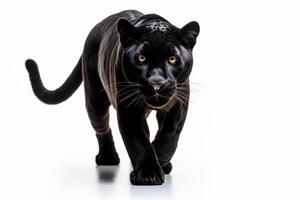 AI generated Black panther clipart photo