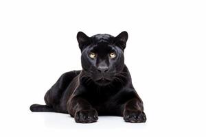 AI generated Black panther clipart photo