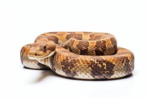 AI generated snake illustration clipart photo