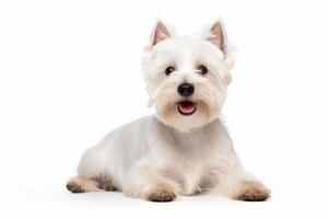 AI generated terrier dog clipart photo