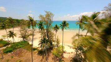 FPV flight over tropical palms coastline and white sandy beach. video