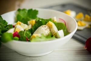 Fresh spring salad with fresh lettuce leaves, radishes, boiled eggs in a bowl photo