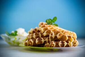 Sweet cottage cheese wafers with a sprig of mint in a plate photo