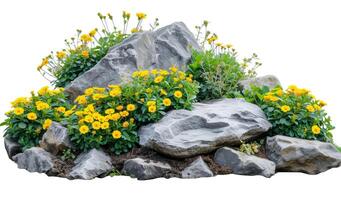 Cutout rock surrounded by yellow flowers photo