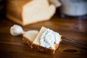 homemade salted curd spread with herbs and garlic photo