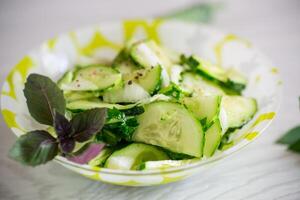 fresh organic cucumber salad with herbs and basil in a plate photo