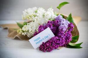 Bouquet of beautiful spring lilacs of different colors photo