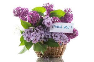 bouquet of different blooming spring lilacs in basket on white background photo