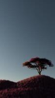 Vertical video of Tree on grassy hills on a windy day, stylized animation in purple colors, seamless loop