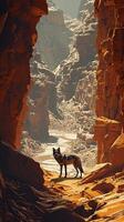 ai generado un solitario lobo soportes en medio de un asombroso cañón paisaje, con imponente iluminado por el sol acantilados exhibiendo de la naturaleza grandeza. foto