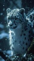 AI generated Majestic snow leopard with piercing eyes sits gracefully on a tree branch, surrounded by a serene snowy landscape. photo